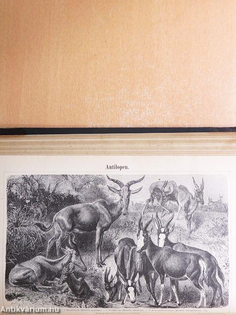 Meyers Konversations-Lexikon I-XVI. (gótbetűs)