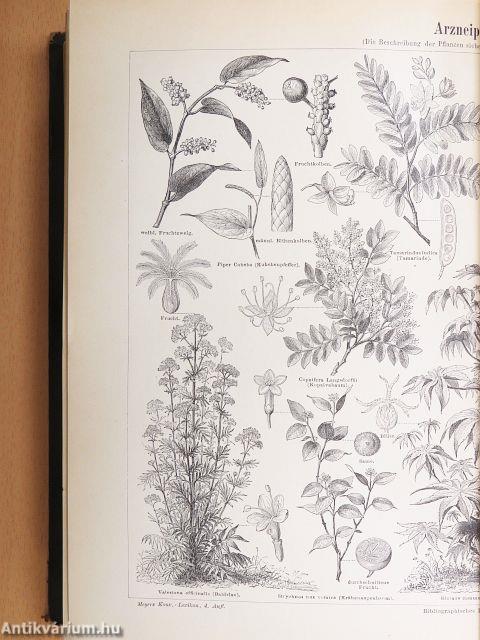 Meyers Konversations-Lexikon I-XVI. (gótbetűs)