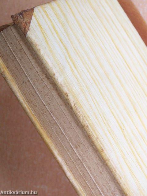 Petőfi életrajza I. (töredék)