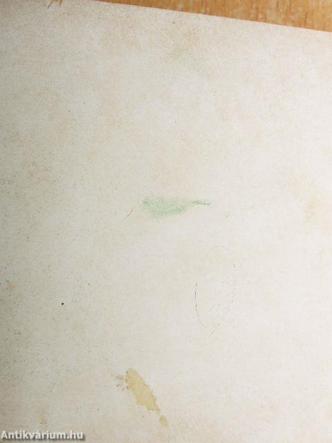 Petőfi életrajza I. (töredék)