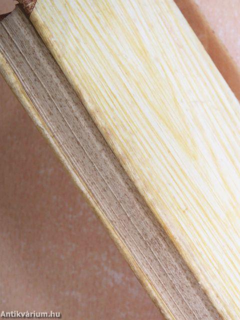 Petőfi életrajza II. (töredék)