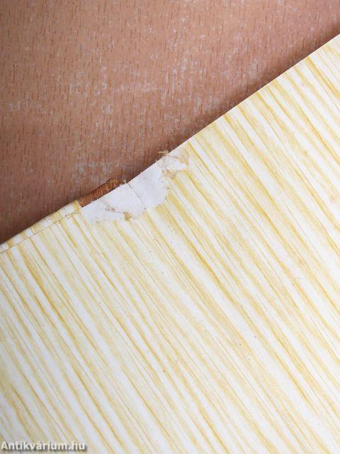 Petőfi életrajza II. (töredék)