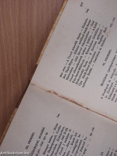 Petőfi életrajza II. (töredék)