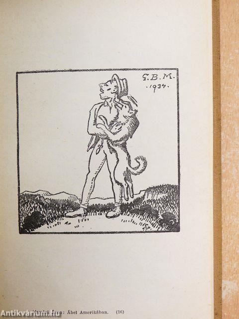 Ábel viszontagságai Amerikában