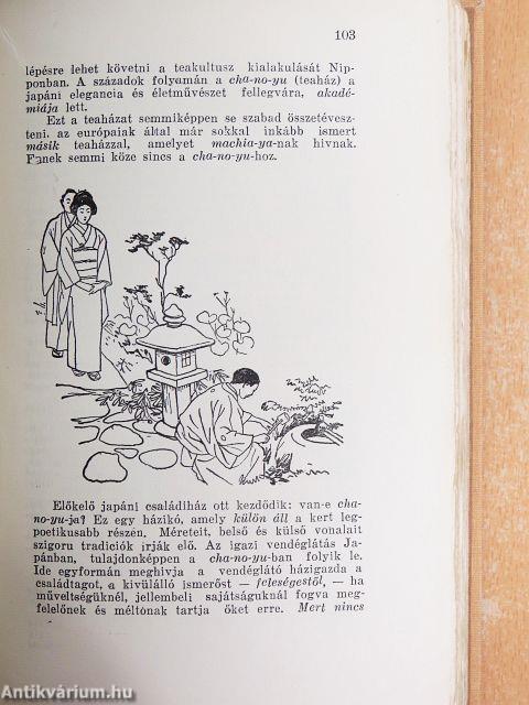 Az ismeretlen Japán