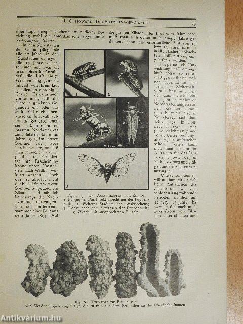 Die Umschau januar-dezember 1912.