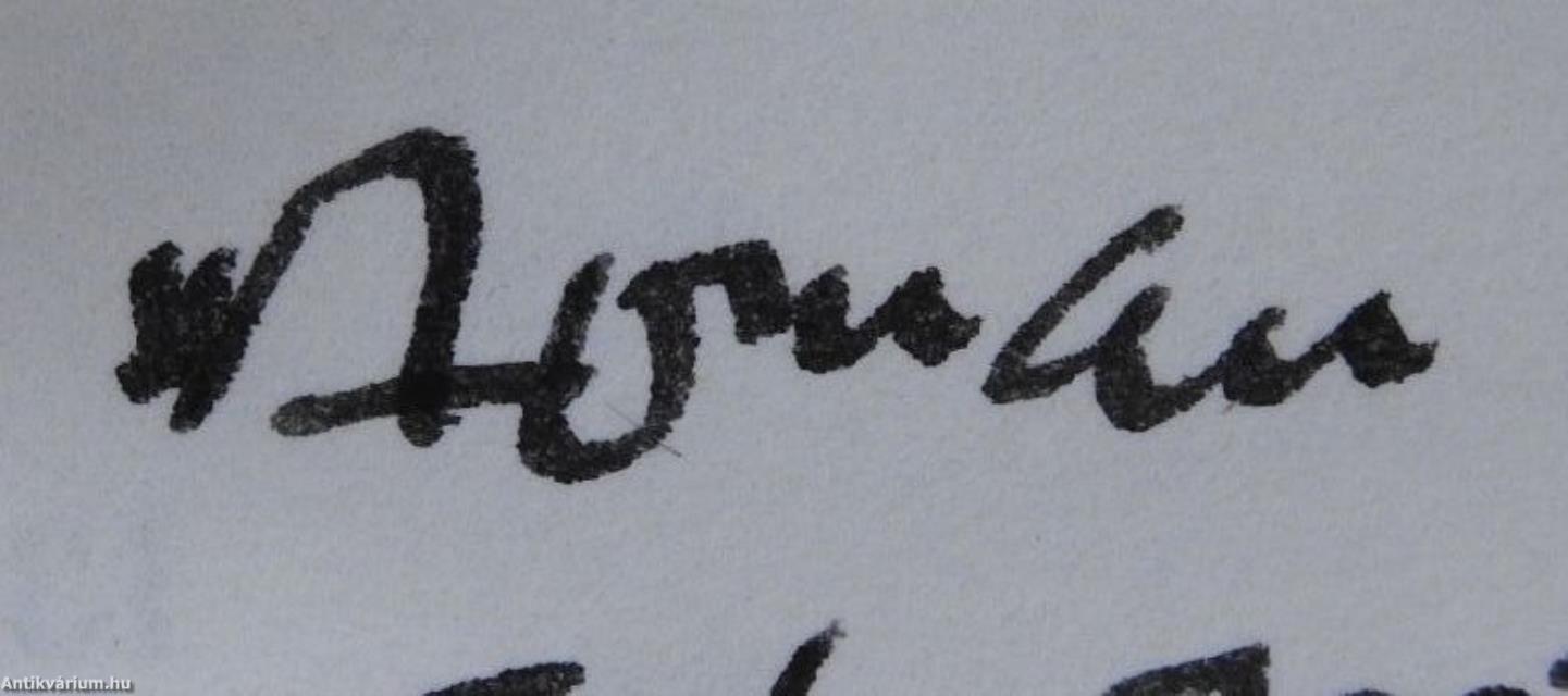 Roman's journey (dedikált példány)