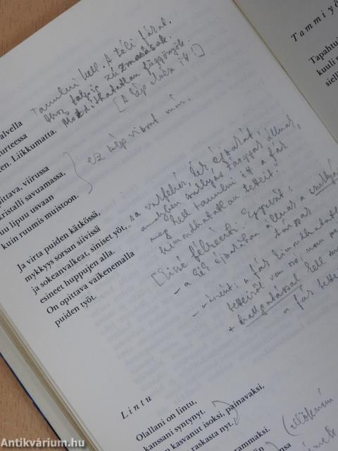 Kaivojen maa (dedikált példány)