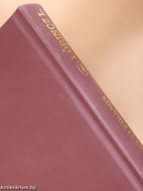 A föld alatti piramis (dedikált példány)