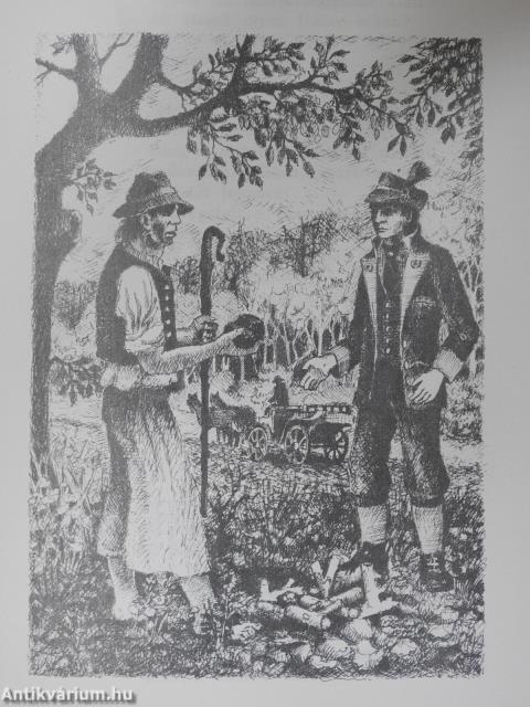 Tisztelet Tatabányának (dedikált példány)