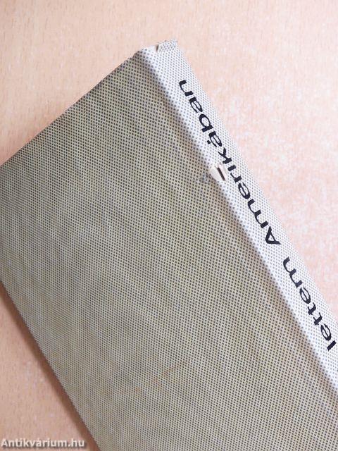 Író lettem Amerikában