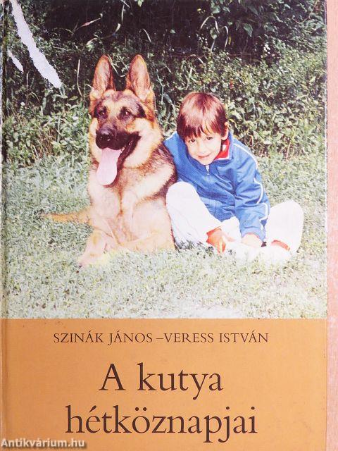 A kutya hétköznapjai
