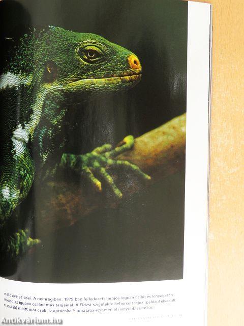 National Geographic Magyarország 2003. március-december/2004-2022. január-december/10 különszám