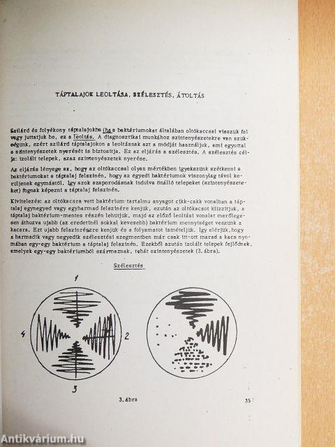 Orvosi mikrobiológia