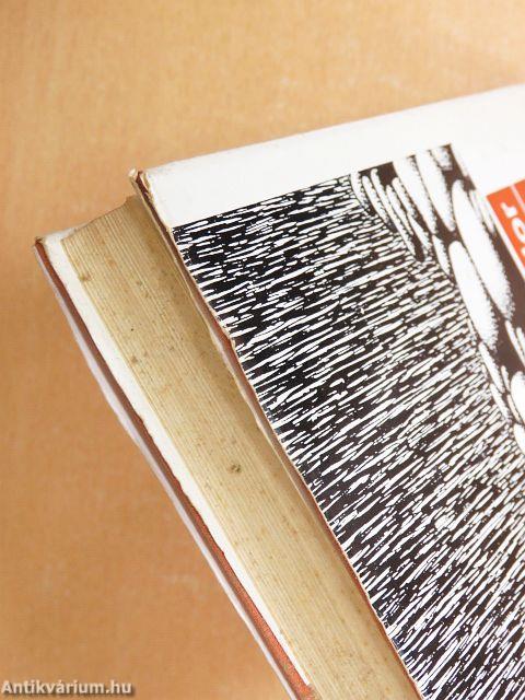 Támadás a Szellő utcában