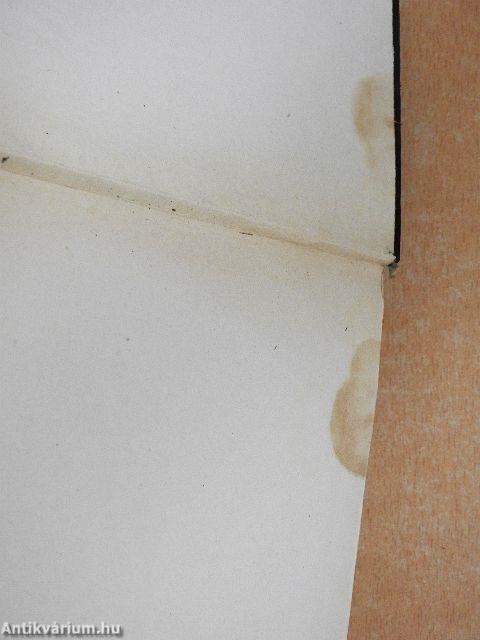 Száz jezsuita arcél I-III.