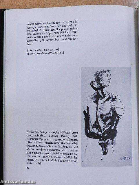 Picasso