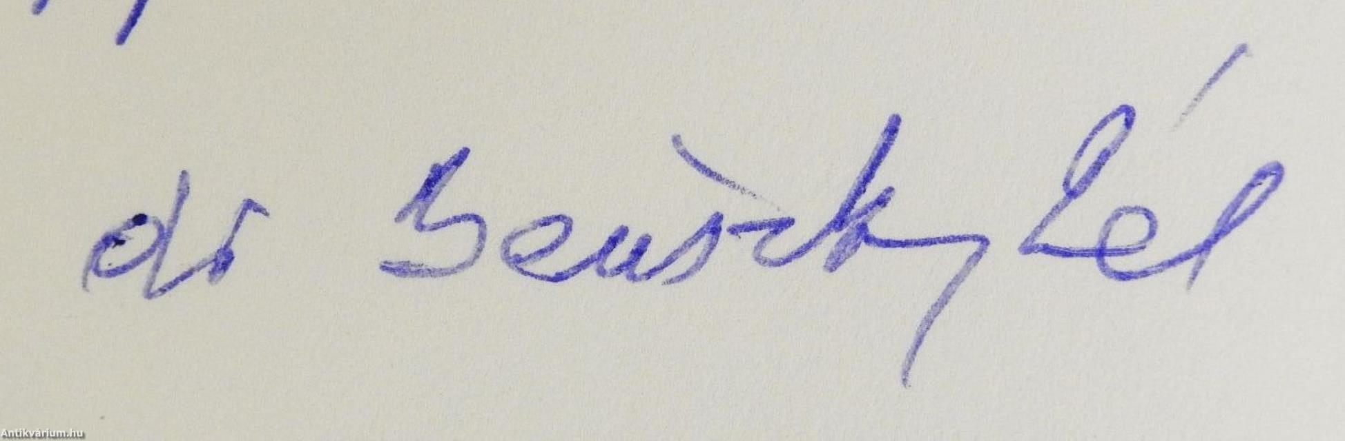 Megújhodó faragóhagyomány 1973-1998 (dedikált példány)