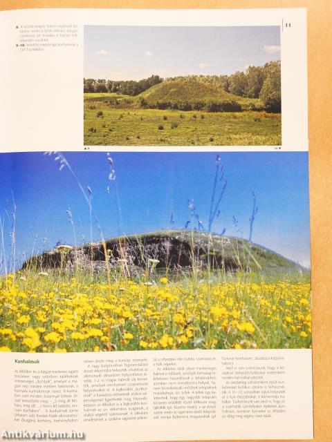 »...Szép vagy, alföld...« (dedikált példány)