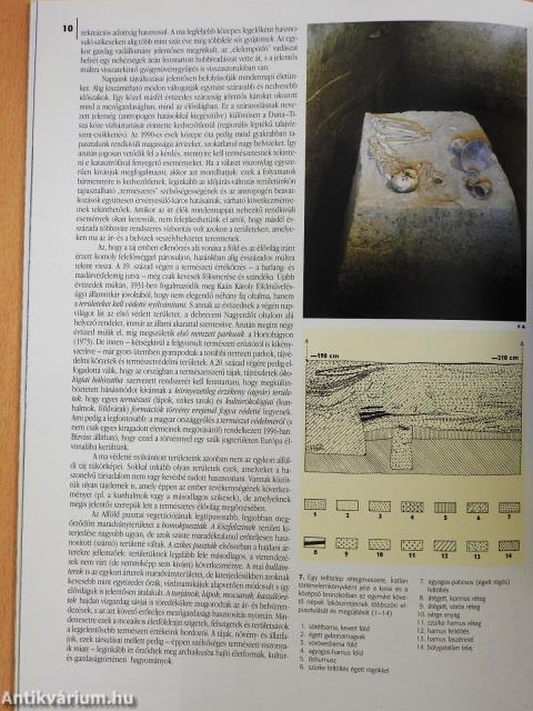 »...Szép vagy, alföld...« (dedikált példány)