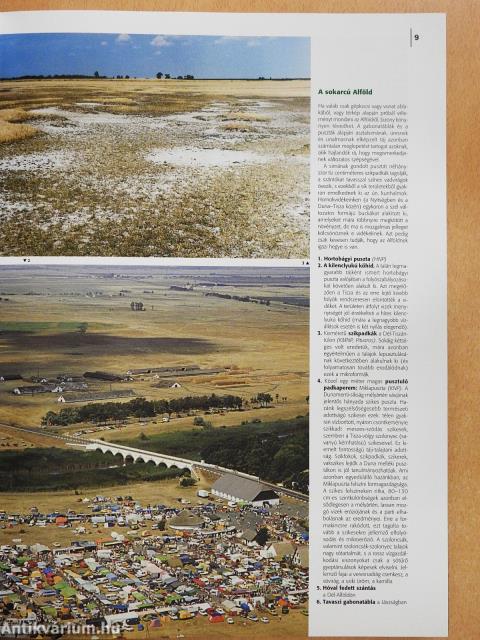 »...Szép vagy, alföld...« (dedikált példány)