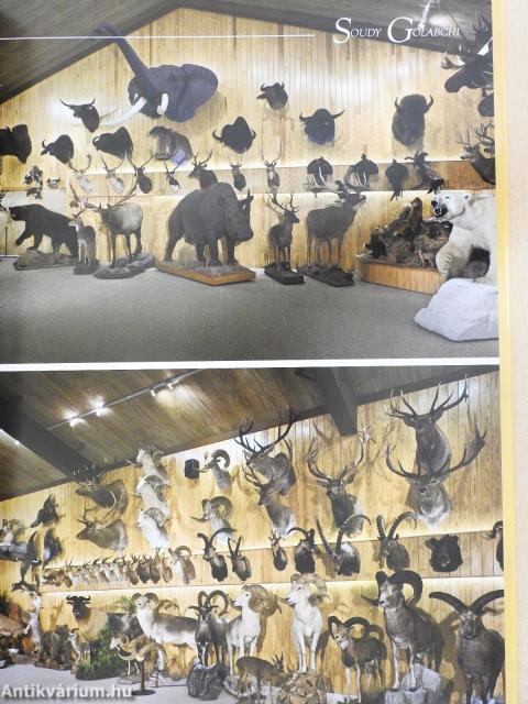 Great Hunters 6. (dedikált példány)