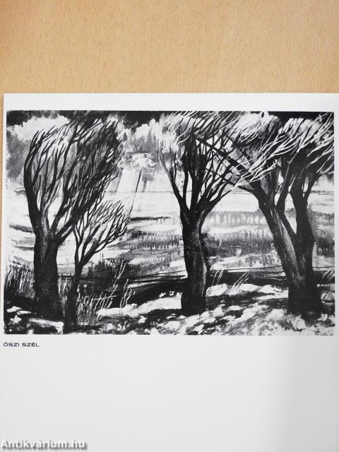 Sz. Győrfy Klára festőművész kiállítása (dedikált példány)