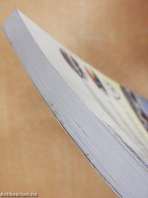 Szabolcs-Szatmár-Bereg megye és Nyíregyháza sportévkönyve 2004