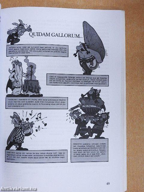 Latin nyelvkönyv II.