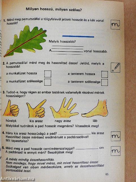 Környezetismereti munkafüzet 2.