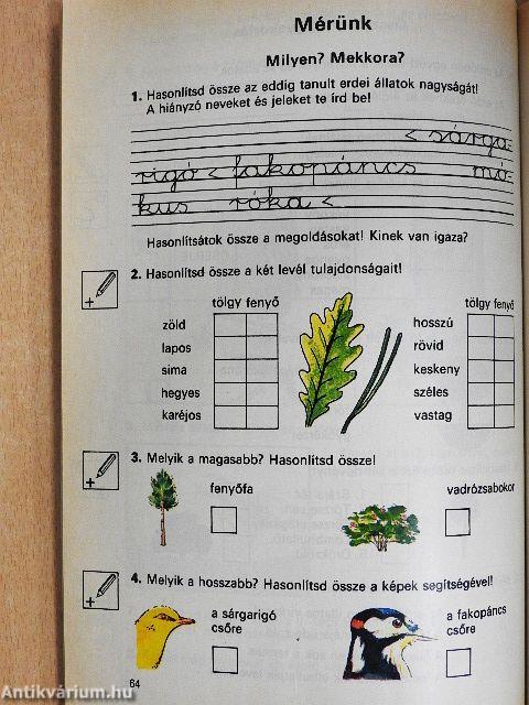 Környezetismereti munkafüzet 2.