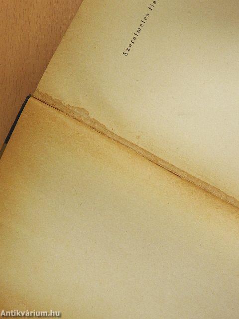 Szerelmetes fiam I-II.