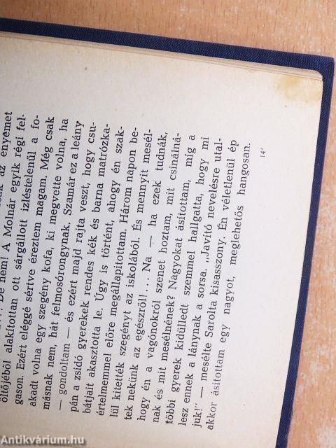 Betévedt Európába I-II.