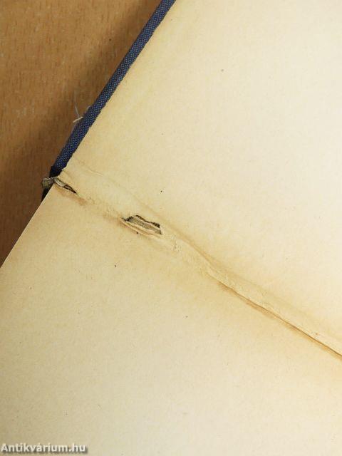 Betévedt Európába I-II.