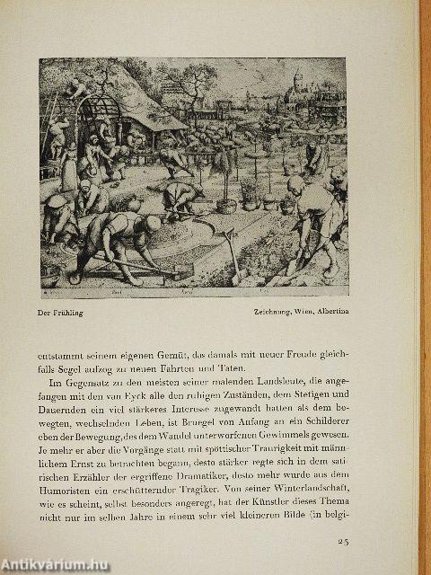 Das Bruegel Buch