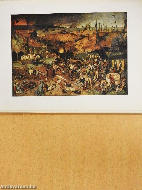 Das Bruegel Buch