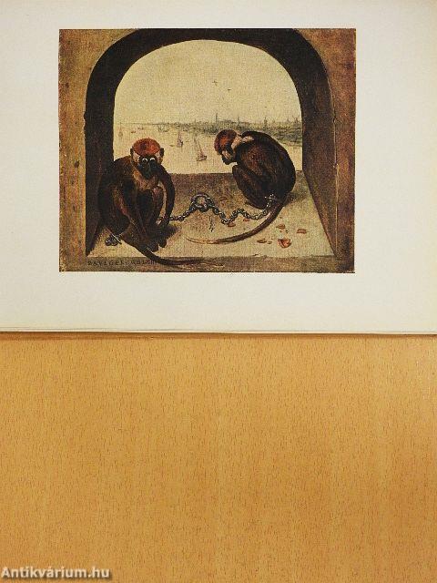 Das Bruegel Buch