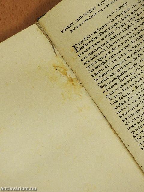 Johannes Brahms Leben und Werk eines Deutschen Meisters