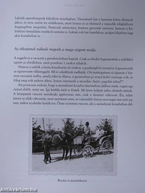 Ízes élet (dedikált példány)