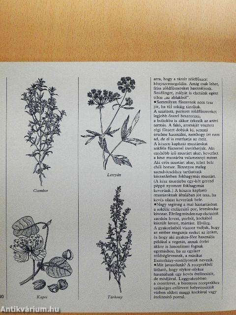 Főzzünk másképp is