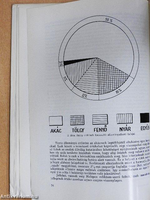 A Debreceni Déri Múzeum évkönyve 1974