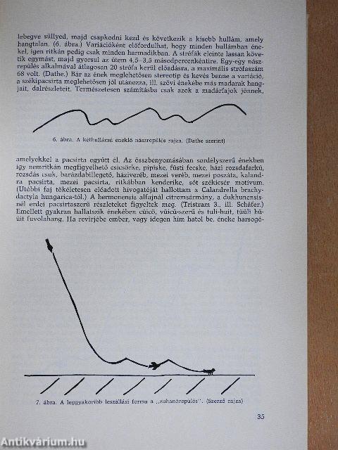 A Debreceni Déri Múzeum évkönyve 1973