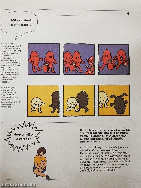 Az emberi test csodája