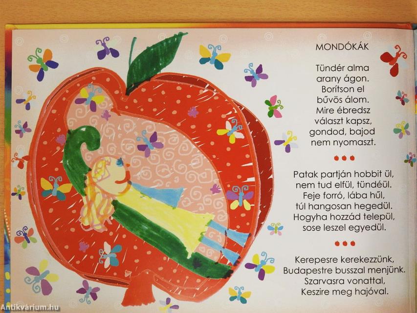 Tündériskola/Kapu Tündérországba (dedikált példány)