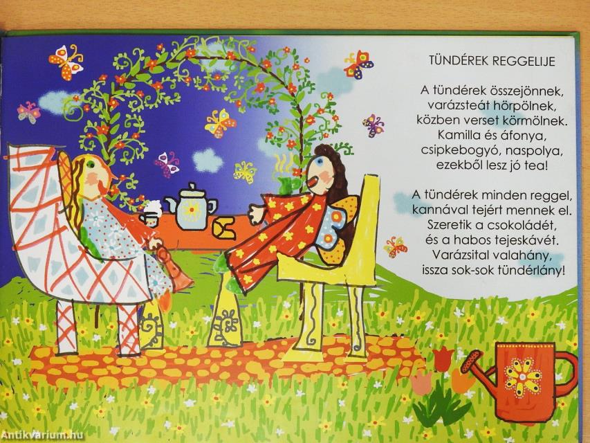 Tündériskola/Kapu Tündérországba (dedikált példány)