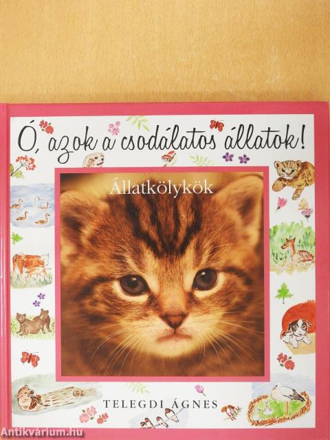 Állatkölykök (dedikált példány)