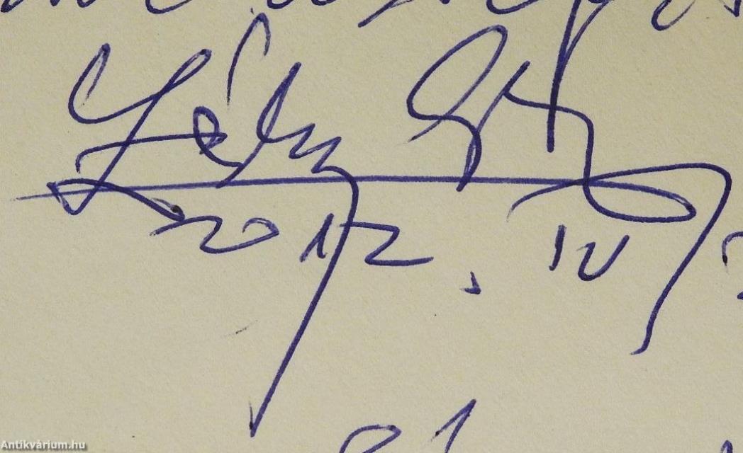 A kiscsillag is lehet üstökös (számozott és kétszeresen dedikált példány)