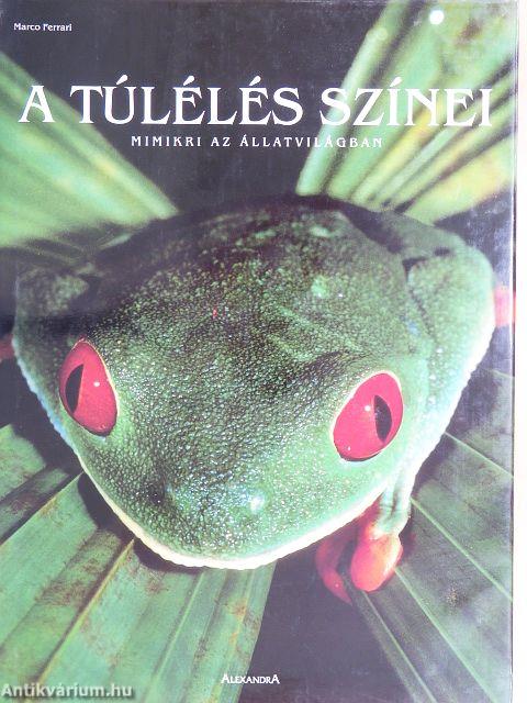 A túlélés színei