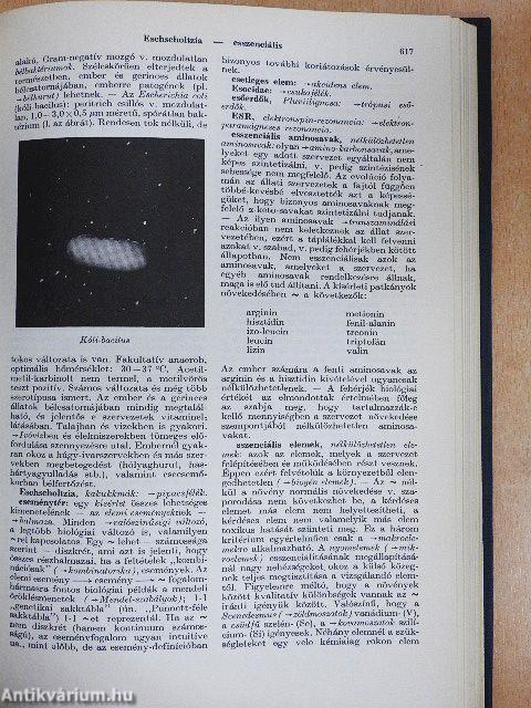 Biológiai lexikon 1-4.