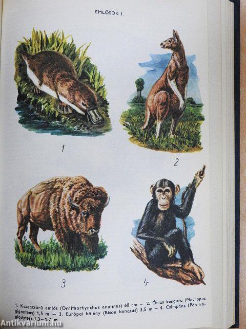 Biológiai lexikon 1-4.